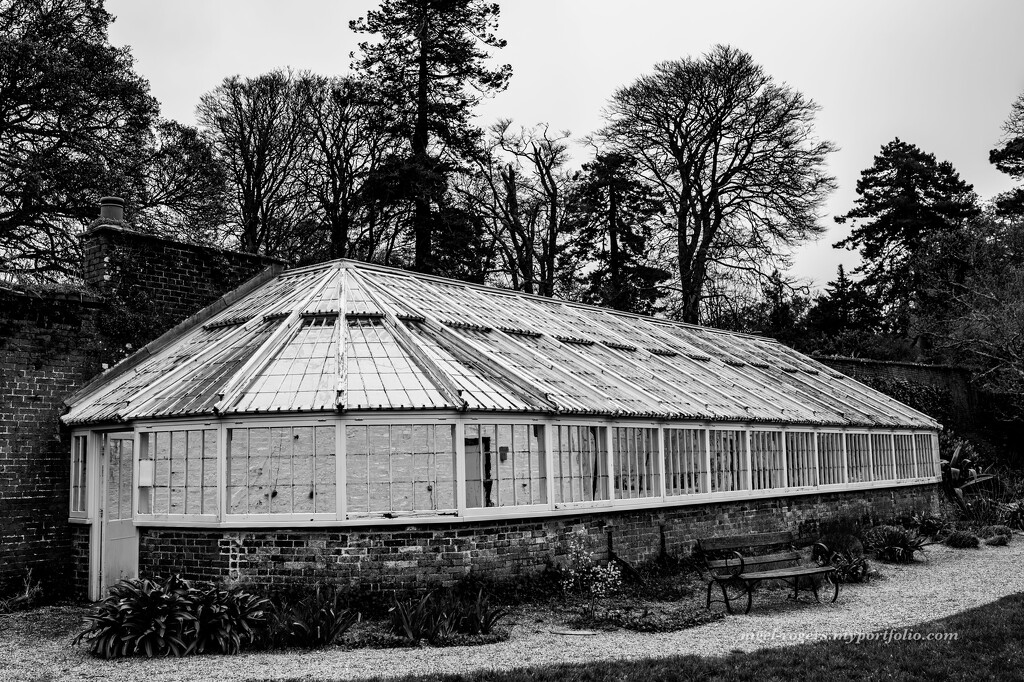 The orangery at Greenway by nigelrogers