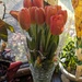 Tulips  by julie