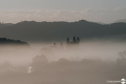 14th Apr 2024 - Autumn  Mist