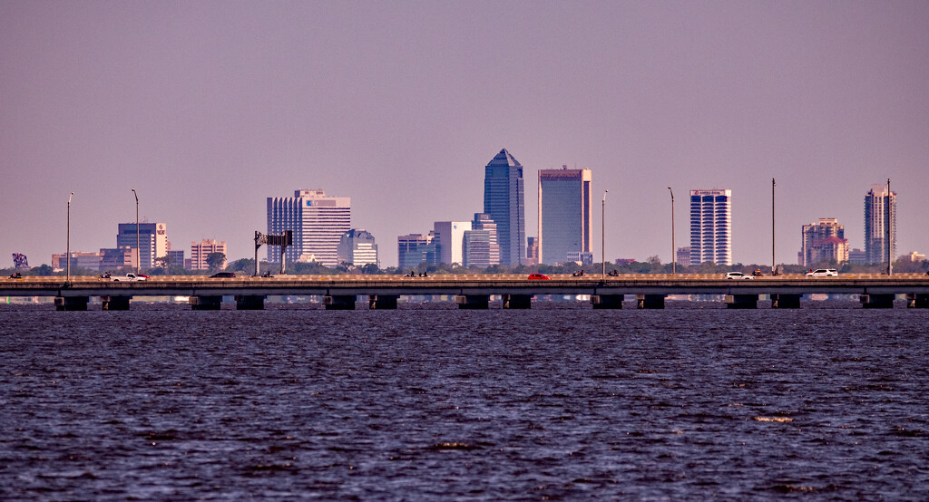 The Jacksonville Skyline! by rickster549