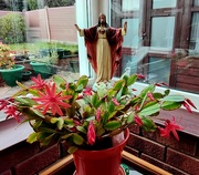 15th Apr 2024 - The Lord's Sacred Heart statue and orange flowering cactus 