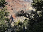 9th Jan 2024 - Grand Canyon