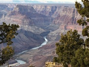 13th Jan 2024 - Grand Canyon