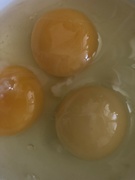 14th Apr 2024 - Y Is for Yellow Yolks 