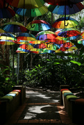 15th Apr 2024 - Umbrellas in the garden