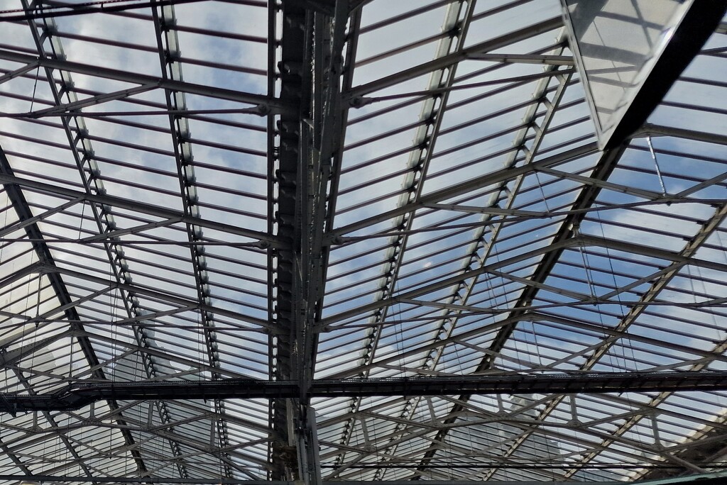 Waverley roof by christophercox