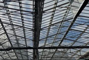11th Apr 2024 - Waverley roof