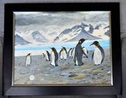 15th Apr 2024 - Penguins