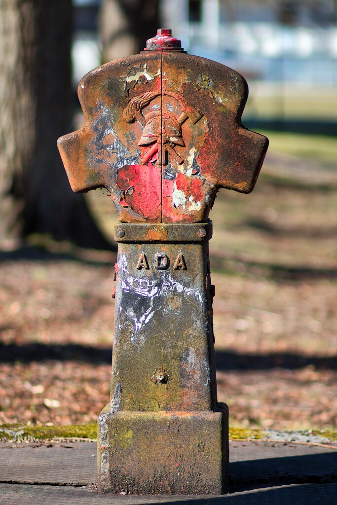 Fire hydrant by okvalle