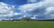 15th Apr 2024 - Rural scene with cloudscape… 