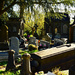Graves by ianmetcalfe