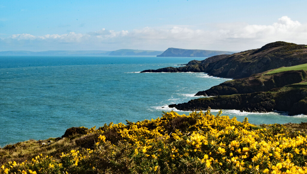 coast path by ianmetcalfe