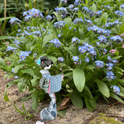 15th Apr 2024 - Hiroko likes the forget-me-nots
