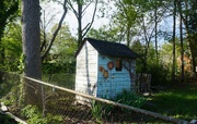 16th Apr 2024 - Little Cabin in the Wood