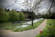 16th Apr 2024 - Punting on the Cam
