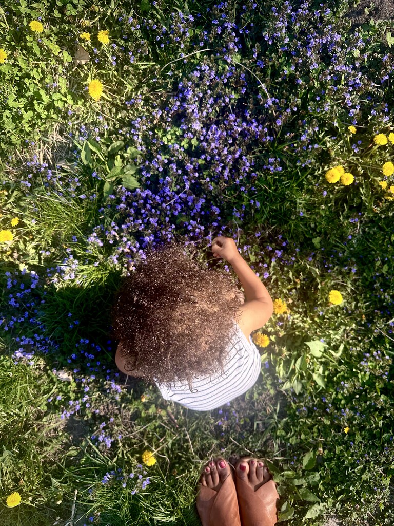 Enjoying the Flowers  by joiedenic