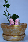 15th Apr 2024 - the flower pot piggies
