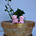 the flower pot piggies