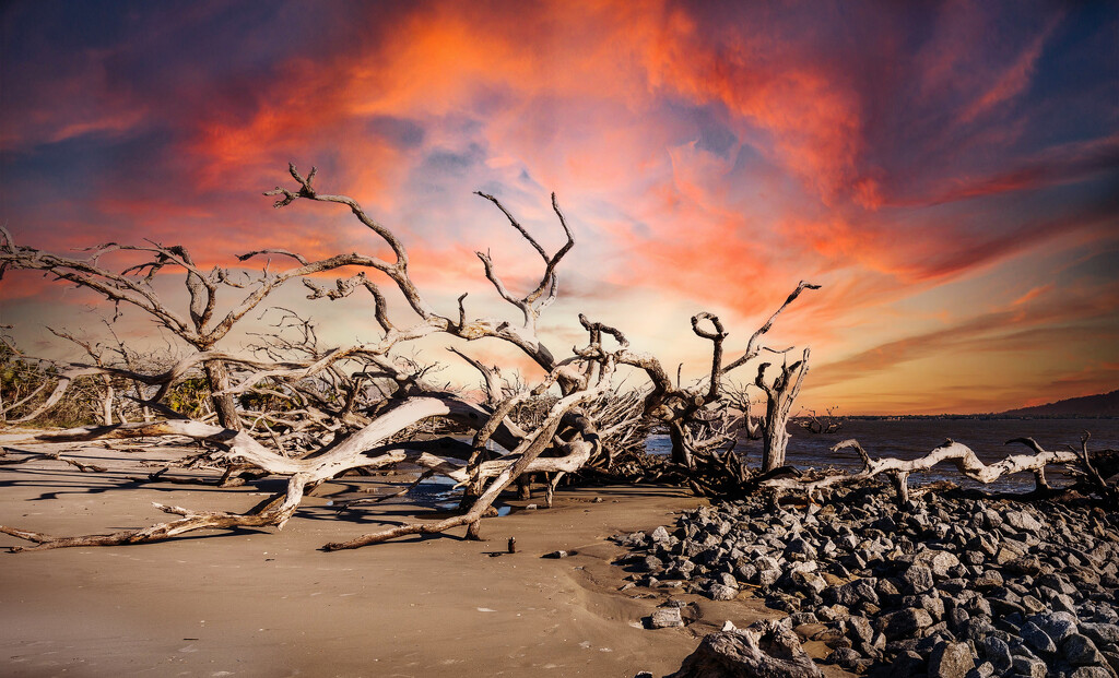 Driftwood Beach Sunrise by pdulis