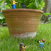 The Parsley Pot by 30pics4jackiesdiamond