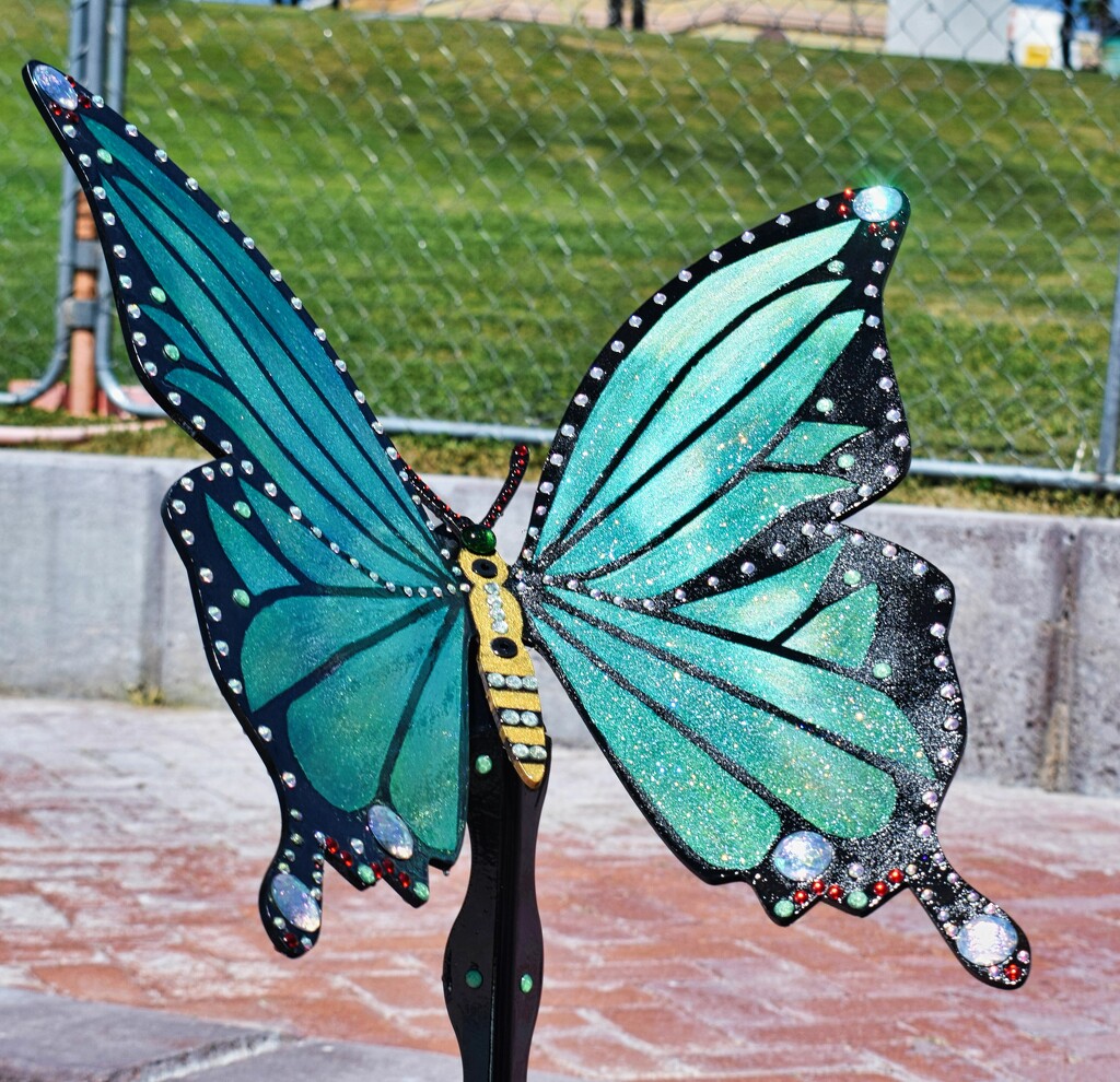 4 14 Green and Black Butterfly by sandlily