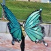 4 14 Green and Black Butterfly