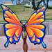 4 14 Blue and Orange Butterfly