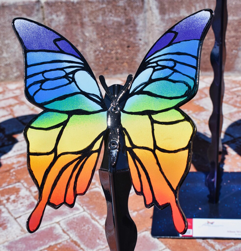 4 14 Multicolored  Butterfly by sandlily