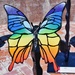4 14 Multicolored  Butterfly