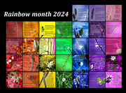 16th Apr 2024 - RainbowMonth2024