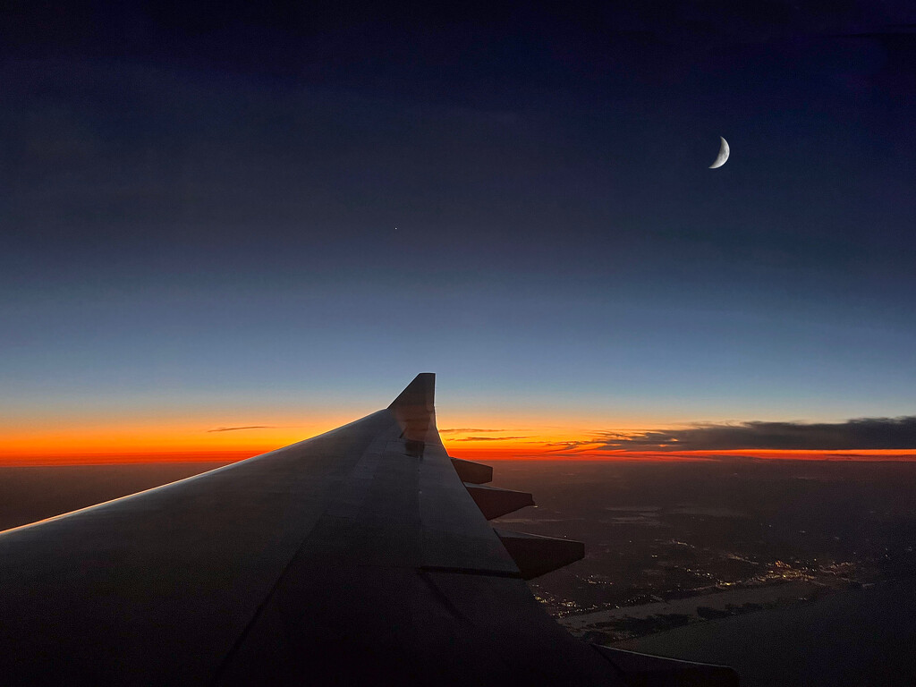 Sunset Flight by pdulis