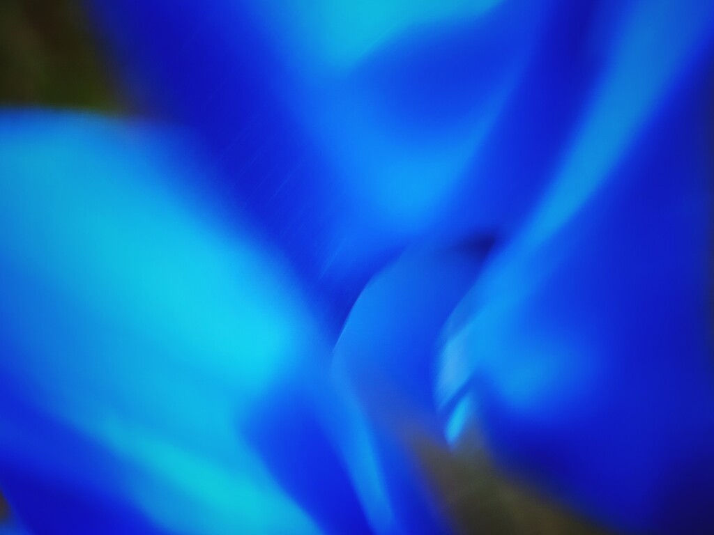 Blue blur by edorreandresen