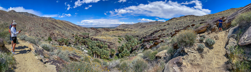  97/365 Murray Canyon Panorama from Coffman Trail by juliecor