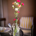  104/365 Carnation by juliecor