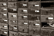 15th Apr 2024 - seed drawers