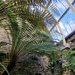 curves at Benmore Fernery by christophercox