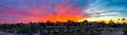 22nd Mar 2024 - Sunset in Tucson