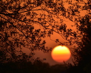 17th Apr 2024 - Marmalade Sunset