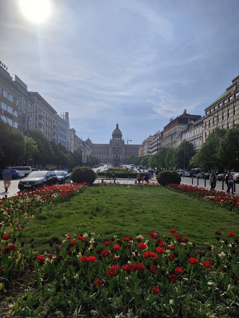 Prague Museum & Wenceslas Square  by alisonl