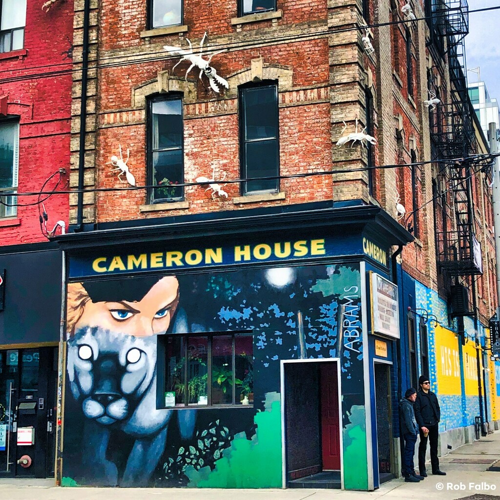 The Cameron House by robfalbo