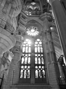 18th Apr 2024 - Divine lighting at the Sagrada