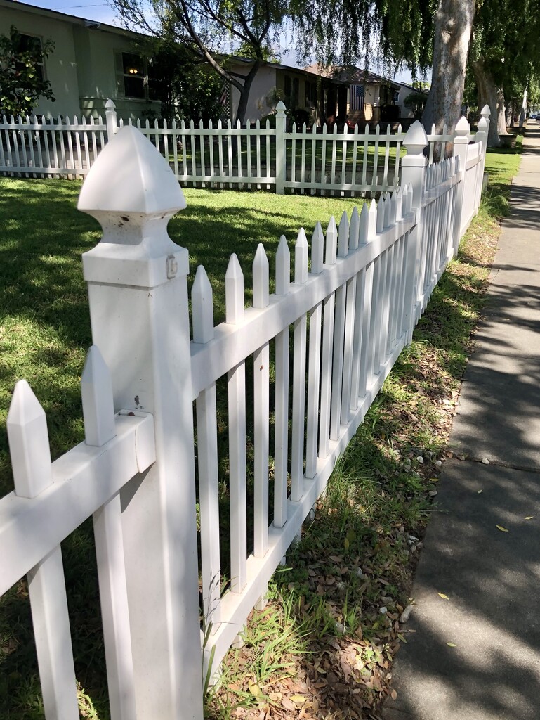 White Fence by loweygrace