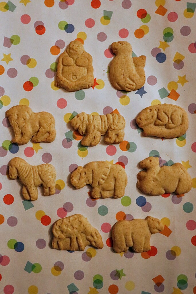 Animal Crackers (Not in Soup-- Ew!) by princessicajessica