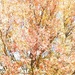 autumn impressionism