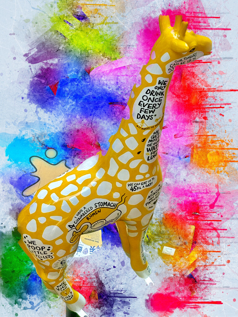 Colour splash giraffe by lizgooster
