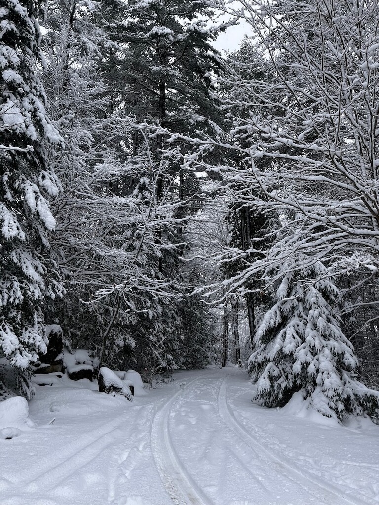 Our Driveway Entrance by sunnygreenwood