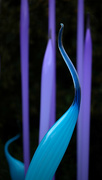 19th Apr 2024 - Chihuly detail