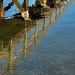 Pier Reflection  by jnewbio
