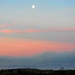 Soft early evening moon.. by maggiemae