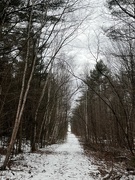 7th Apr 2024 - Snowy Trail ...